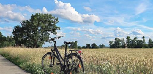 Fietstocht in omgeving Zeist