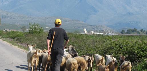 Evangelist in Albanië