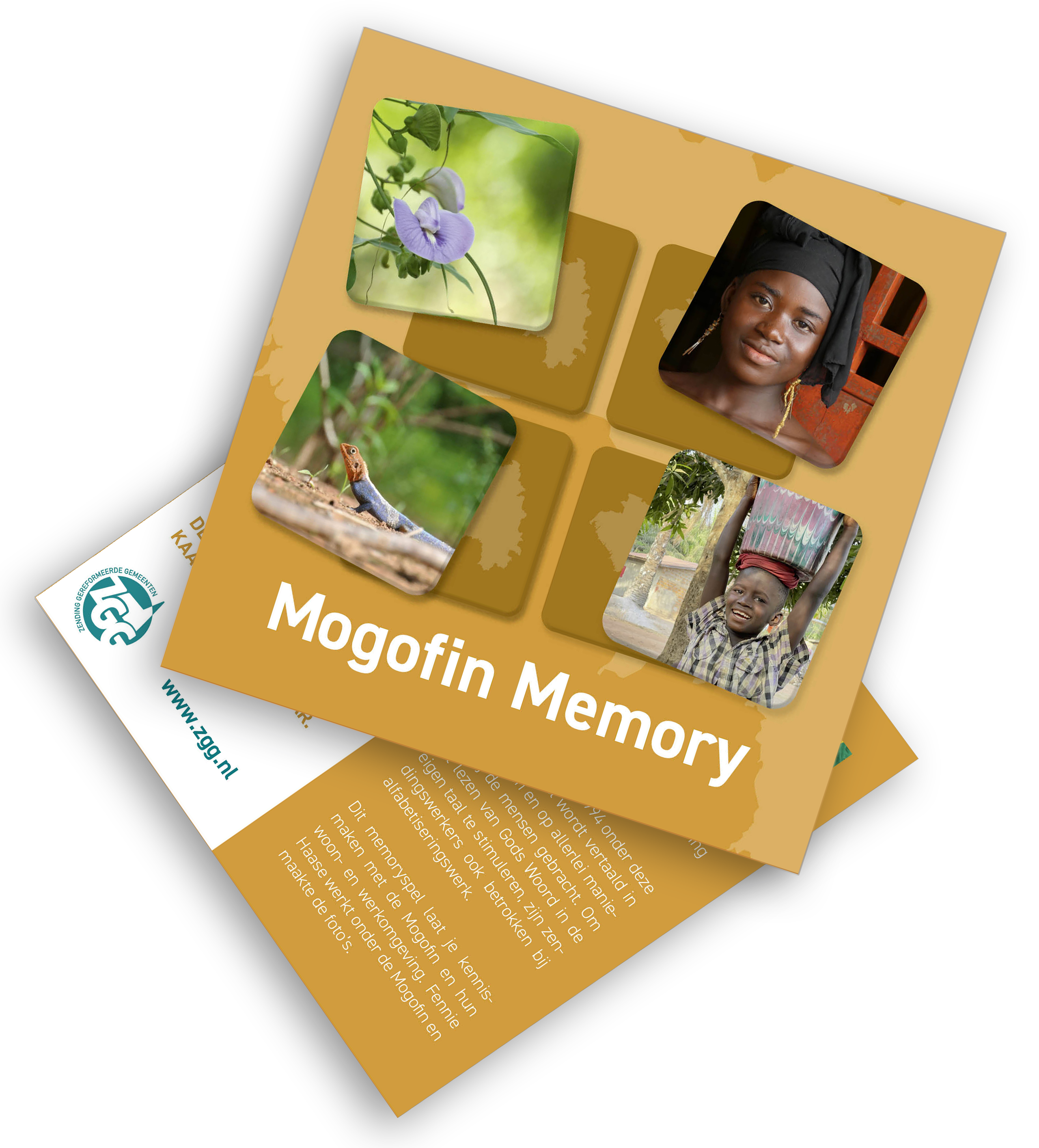 Mogofin Memory
